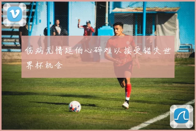 伤病无情廷伯心碎难以接受错失世界杯机会